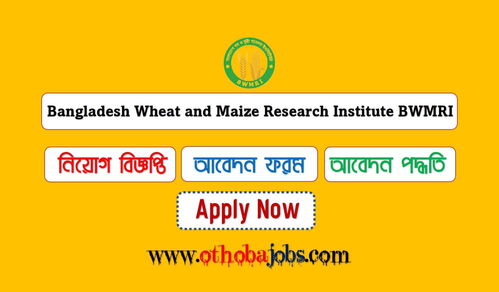 BWMRI Job Circular 2023 - Bangladesh Wheat and Maize Research Institute