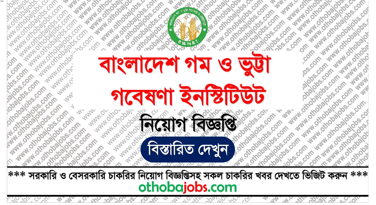 বাংলাদেশ গম ও ভুট্টা গবেষণা ইনস্টিটিউট নিয়োগ বিজ্ঞপ্তি ২০২৫ - Bangladesh Wheat and Maize Research Institute BWMRI Job Circular 2025